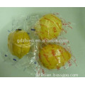 China manufacture fresh fruit and vegetable horizontal packing machine